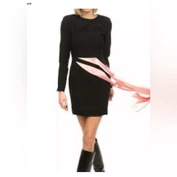 FINAL  OFFER Ronny Kobo Freya Mini Dress. NWOT’s. Size S. 90% off. No discounts - Picture 3 of 12